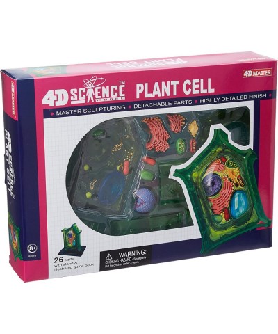 Famemaster 4D-Science Plant Cell Anatomy Model $71.29 Educational Science Kits