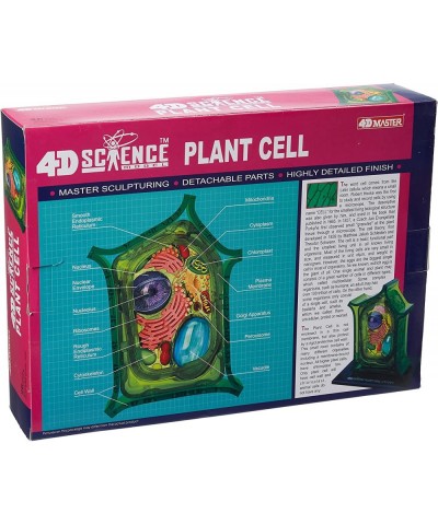 Famemaster 4D-Science Plant Cell Anatomy Model $71.29 Educational Science Kits