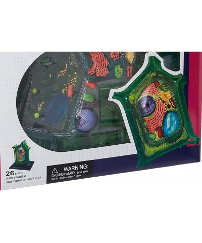 Famemaster 4D-Science Plant Cell Anatomy Model $71.29 Educational Science Kits