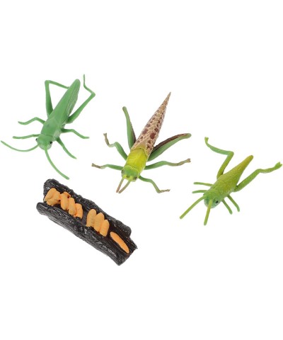 Insects Bugs Figurines Grasshopper Playthings: Insect Life Cycle Sandbox Toy Growth Cycle Cognitive Model $18.94 Play Figure ...