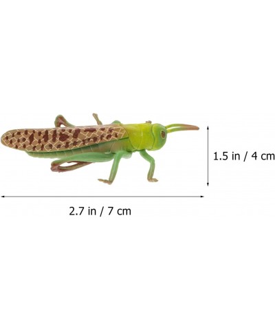 Insects Bugs Figurines Grasshopper Playthings: Insect Life Cycle Sandbox Toy Growth Cycle Cognitive Model $18.94 Play Figure ...