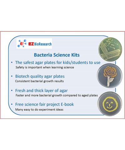 Bacteria Science Kit (IV): Top Science Fair Project Kit. Prepoured LB-Agar Plates And Cotton Swabs. Exclusive Free Science Fa...