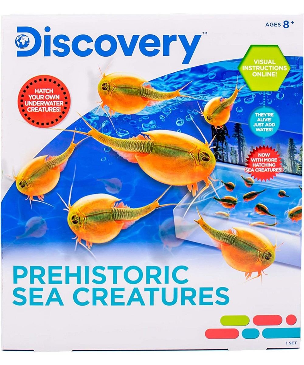 Prehistoric Sea Creatures at-Home STEM Kits for Kids Sea Creature Aquarium Grow Your Own Sea Creatures Hatching Animals Kids ...