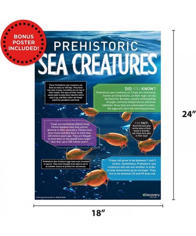 Prehistoric Sea Creatures at-Home STEM Kits for Kids Sea Creature Aquarium Grow Your Own Sea Creatures Hatching Animals Kids ...