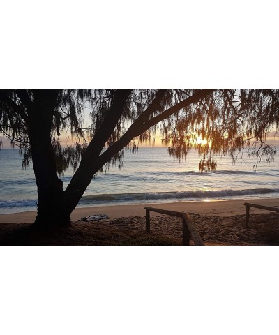 Beach Puzzles for Adults 1000 Piece - Beach Sunrise Landscape Jigsaw Puzzle - Beach Ocean Puzzle - Puzzle Wall Decor - Adult ...