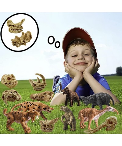 Realistic Prehistoric Animals and Animal Dinosaur Skull Model Toy Playset Science Educational Cognitive Toys for Kids Age 5 6...