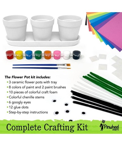 Flower Pot Kit Kids Craft - Art Kits for Kids 4-6 Set Comes with 3 Planters 8 Paints 2 Brushes & Much More - Paint Your Own P...