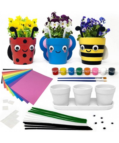 Flower Pot Kit Kids Craft - Art Kits for Kids 4-6 Set Comes with 3 Planters 8 Paints 2 Brushes & Much More - Paint Your Own P...