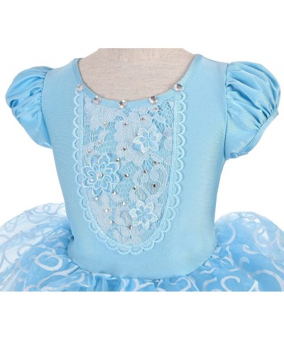 Girls Princess Blue Dress Up Costumes Halloween Fancy Party Ball Gown Dresses with Accessories $46.76 Kids' Costumes