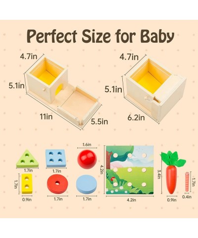 5 in1 Montesori Toys Permanence Christmas Toys Wooden Play Kits Shape Sorter Object Box Coin Box Carrot Harvest Catch Worm fo...