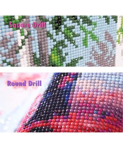 Full Drill 5d Diamond Painting Kits Cross Stitch Craft Kit New DIY Kits for Kids Adults Paint by Number Kits (Car 30x45cm Squ...