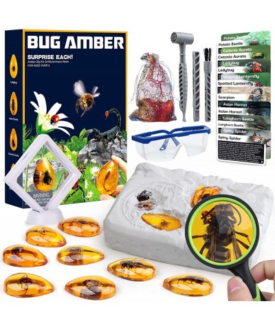 Amber Dig Kit - Insects in Resin 8 Insects Specimens Excavation Kit Geographic Bug Toys for Kids Educational Science Kits for...