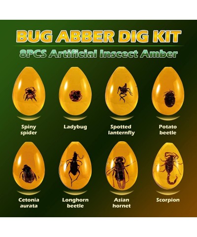 Amber Dig Kit - Insects in Resin 8 Insects Specimens Excavation Kit Geographic Bug Toys for Kids Educational Science Kits for...