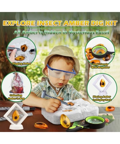 Amber Dig Kit - Insects in Resin 8 Insects Specimens Excavation Kit Geographic Bug Toys for Kids Educational Science Kits for...