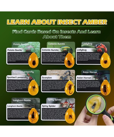 Amber Dig Kit - Insects in Resin 8 Insects Specimens Excavation Kit Geographic Bug Toys for Kids Educational Science Kits for...