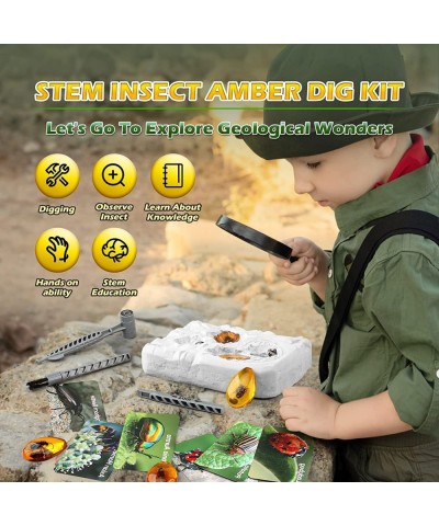 Amber Dig Kit - Insects in Resin 8 Insects Specimens Excavation Kit Geographic Bug Toys for Kids Educational Science Kits for...