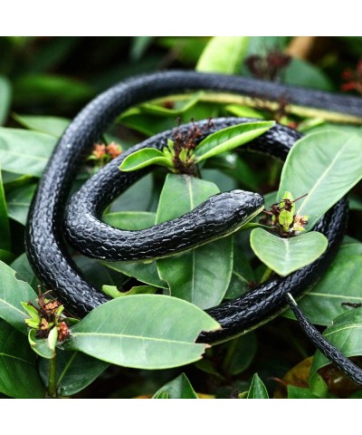 8 PCS Large Realistic Rubber Snakes Fake Snake Black Mamba Snake Toys for Garden Props to Scare Birds Squirrels Mice Prank St...