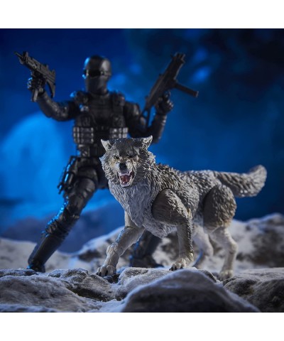 G.I. Joe Classified Series - Snake Eyes & Timber: Alpha Commands 30 Figures - Premium Collectible 6" Scale Toys in Packaging ...