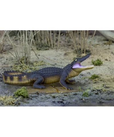 Wildlife Collection - Realistic Alligator Toy Figure - Non-Toxic and BPA Free - Ages 3 and Up $19.98 Kids' Play Animal Figures