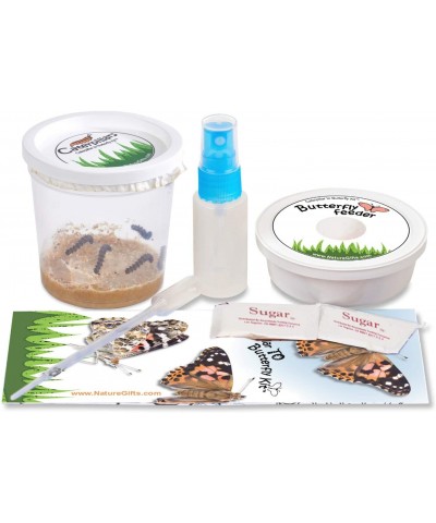 Store 5 Live Caterpillars Shipped Now- Butterfly Kit Refill $30.11 Habitat Science Kits