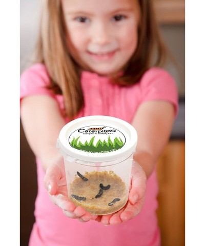 Store 5 Live Caterpillars Shipped Now- Butterfly Kit Refill $30.11 Habitat Science Kits