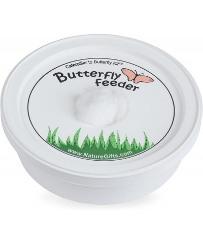 Store 5 Live Caterpillars Shipped Now- Butterfly Kit Refill $30.11 Habitat Science Kits