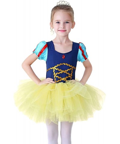 Baby Girls Princess Ballet Dress Short Sleeve Leotards Skirted Tutu Dancewear Halloween Christmas Party Fancy Costume $21.61 ...