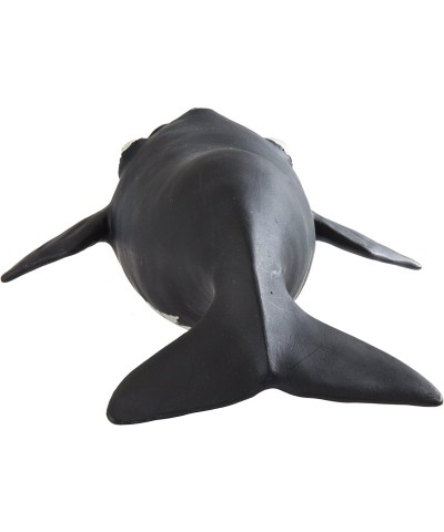 Right Whale – Realistic Hand Painted Toy Figurine Model – Quality Construction from Phthalate Lead and BPA Free Materials – F...