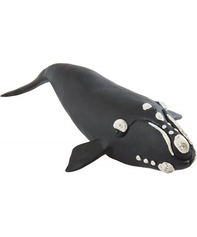 Right Whale – Realistic Hand Painted Toy Figurine Model – Quality Construction from Phthalate Lead and BPA Free Materials – F...