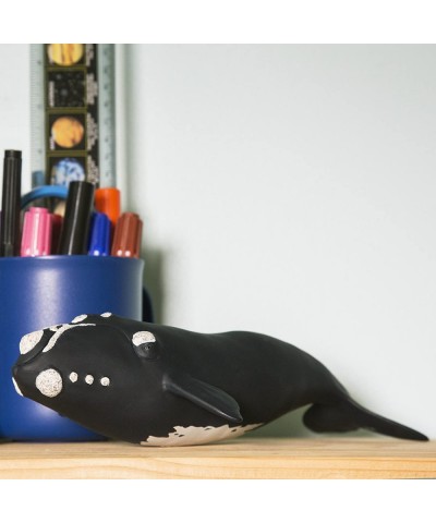 Right Whale – Realistic Hand Painted Toy Figurine Model – Quality Construction from Phthalate Lead and BPA Free Materials – F...