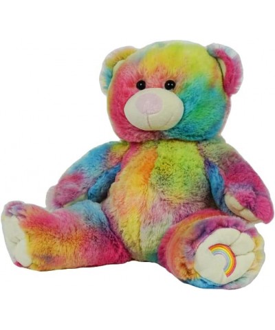 Record Your Own Plush 16 Inch Rainbow Bear - Ready 2 Love in a Few Easy Steps $53.76 Stuffed Animals & Teddy Bears