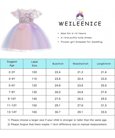 Christmas Girls Flower Dress Lace Rainbow Tulle 3D Embroidery Beading Princess Pageant Wedding Party Dresses $61.16 Kids' Cos...