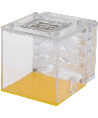 Acrylic Ant Nest Display Box Formicarium Moisturizing Water Tower Lair for Ant Feeding Science Educational $43.53 Educational...