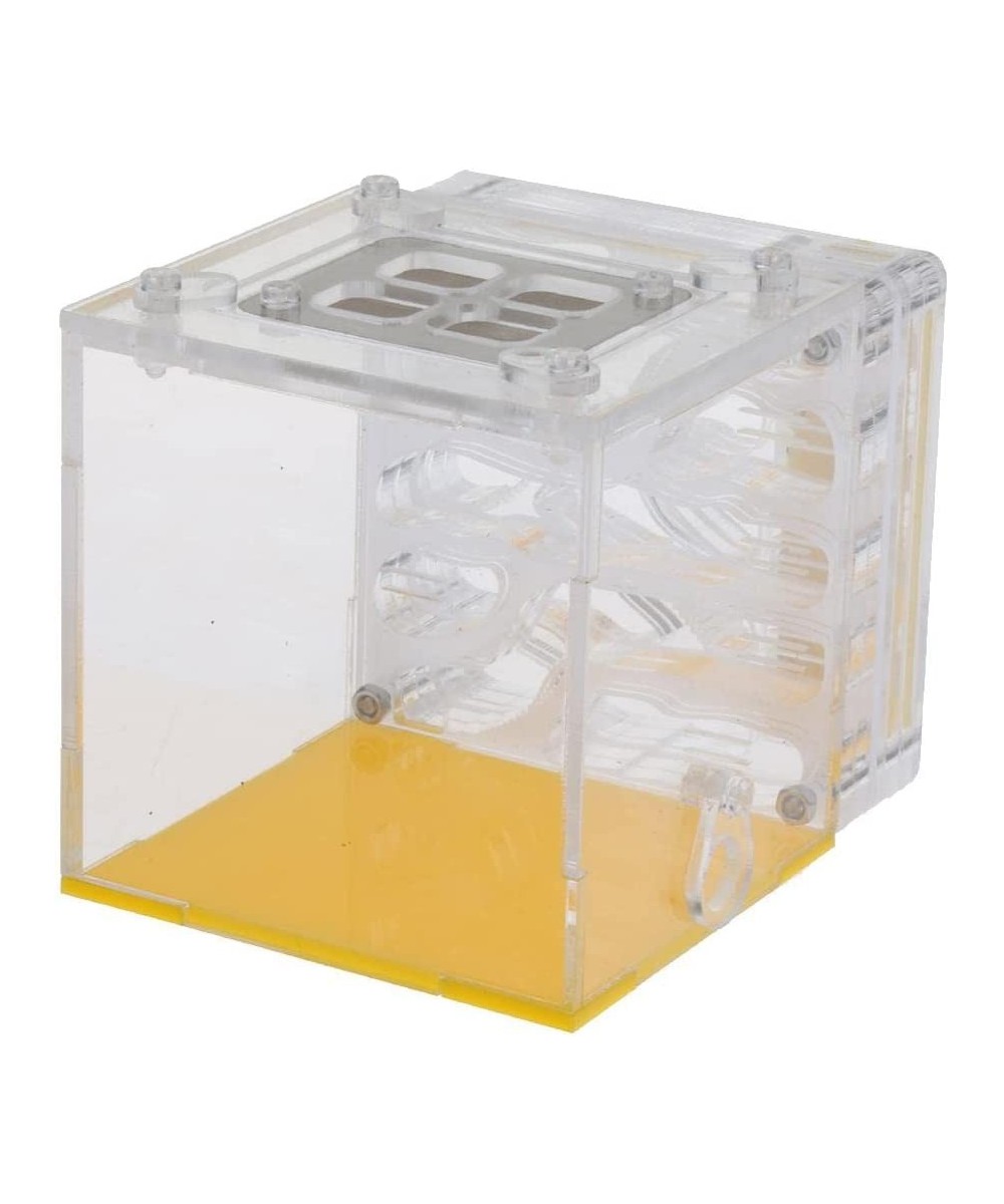 Acrylic Ant Nest Display Box Formicarium Moisturizing Water Tower Lair for Ant Feeding Science Educational $43.53 Educational...