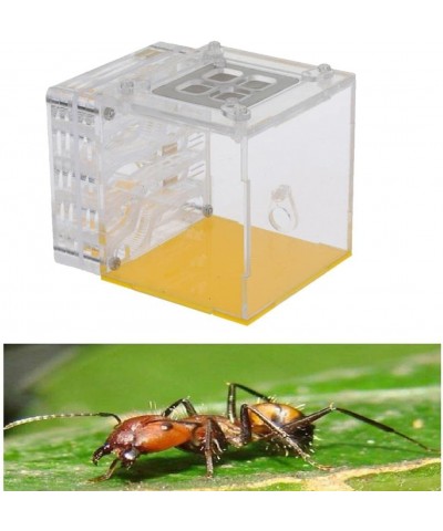 Acrylic Ant Nest Display Box Formicarium Moisturizing Water Tower Lair for Ant Feeding Science Educational $43.53 Educational...