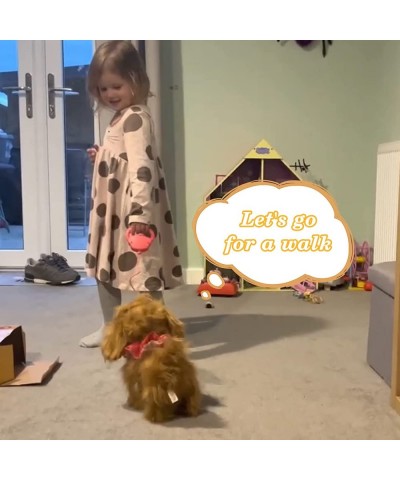 Toy Dog Walk and Bark Sing Tail Lick Repeat What You Say Toys for 2 + Year Old Girl Interactive Stuffed Puppy for Boys Girls ...