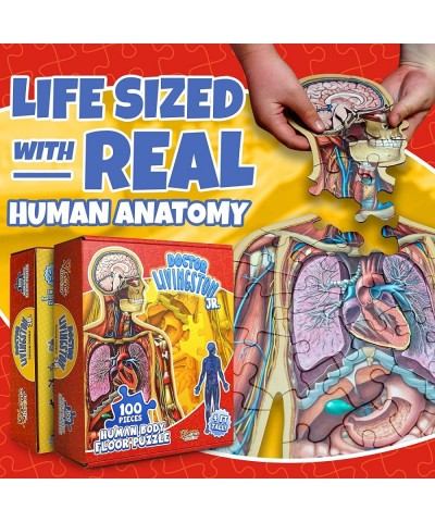 Human Anatomy Floor Puzzle — Doctor Livingston Jr Anatomy Toy - Kids Puzzles & Science Toys - 4 Foot Life-Sized Anatomy Model...