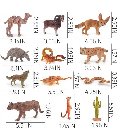 12PCS Big Desert Animals Figures Set Desert Diorama 6 Inch Realistic Tropical Animals Figurines Armadillo Toy Chameleon Toys ...