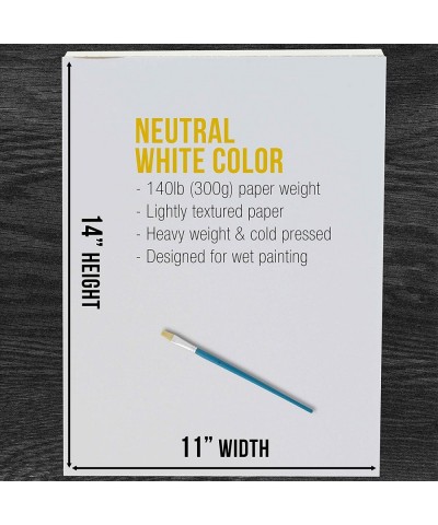 11" x 14" Premium Heavyweight Watercolor Painting Paper Pad Pack of 2 12 Sheets Each 140 Pound (300gsm) - Cold Pressed Acid-F...