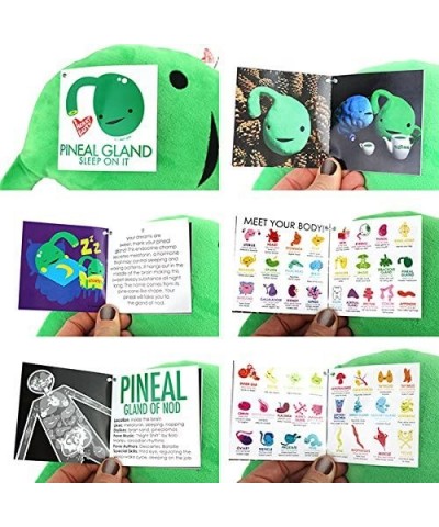 Pineal Gland Plush - Sleep On It - 8" Dreamy Third Eye Stuffed Toy $47.50 Plush Figure Toys