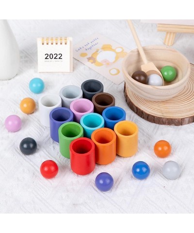 Wooden Rainbow Balls in Cups Montessori Toy Fine Motor Early Education Toys Preschool Learning Material Educational Counting ...