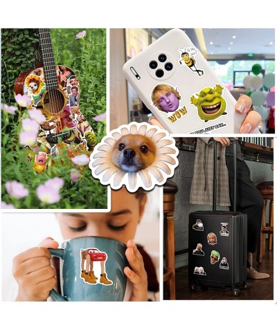 300PCS Meme Stickers Pack Funny Stickers for Adults Vinyl Stickers for Water Bottles Waterproof Stickers for Adults Teens Boy...