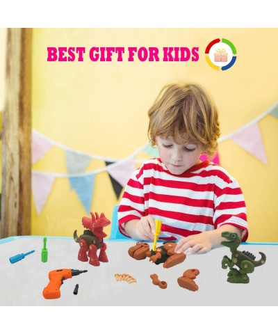 Take Apart Dinosaurs Toys for Kids Creative Diy Building Dinos Blocks Puzzle Set with Screwdriver Interlocking Animal Model B...