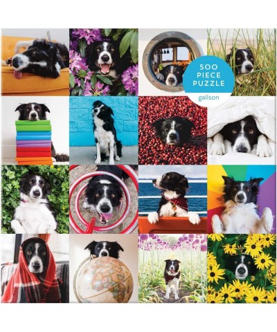 Momo The Dog Puzzle 500 Pieces 20” x 20'' – Colorful Puzzle Featuring 16 Adorable Dog Images - Thick Sturdy Pieces - Perfect ...