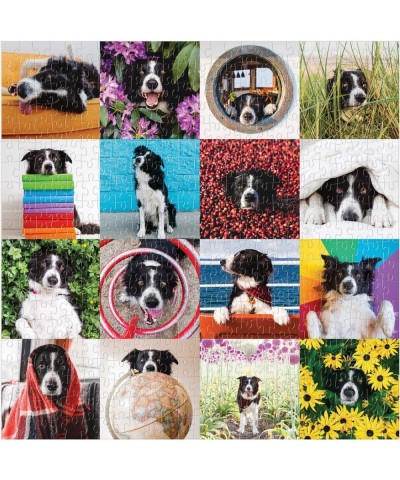 Momo The Dog Puzzle 500 Pieces 20” x 20'' – Colorful Puzzle Featuring 16 Adorable Dog Images - Thick Sturdy Pieces - Perfect ...