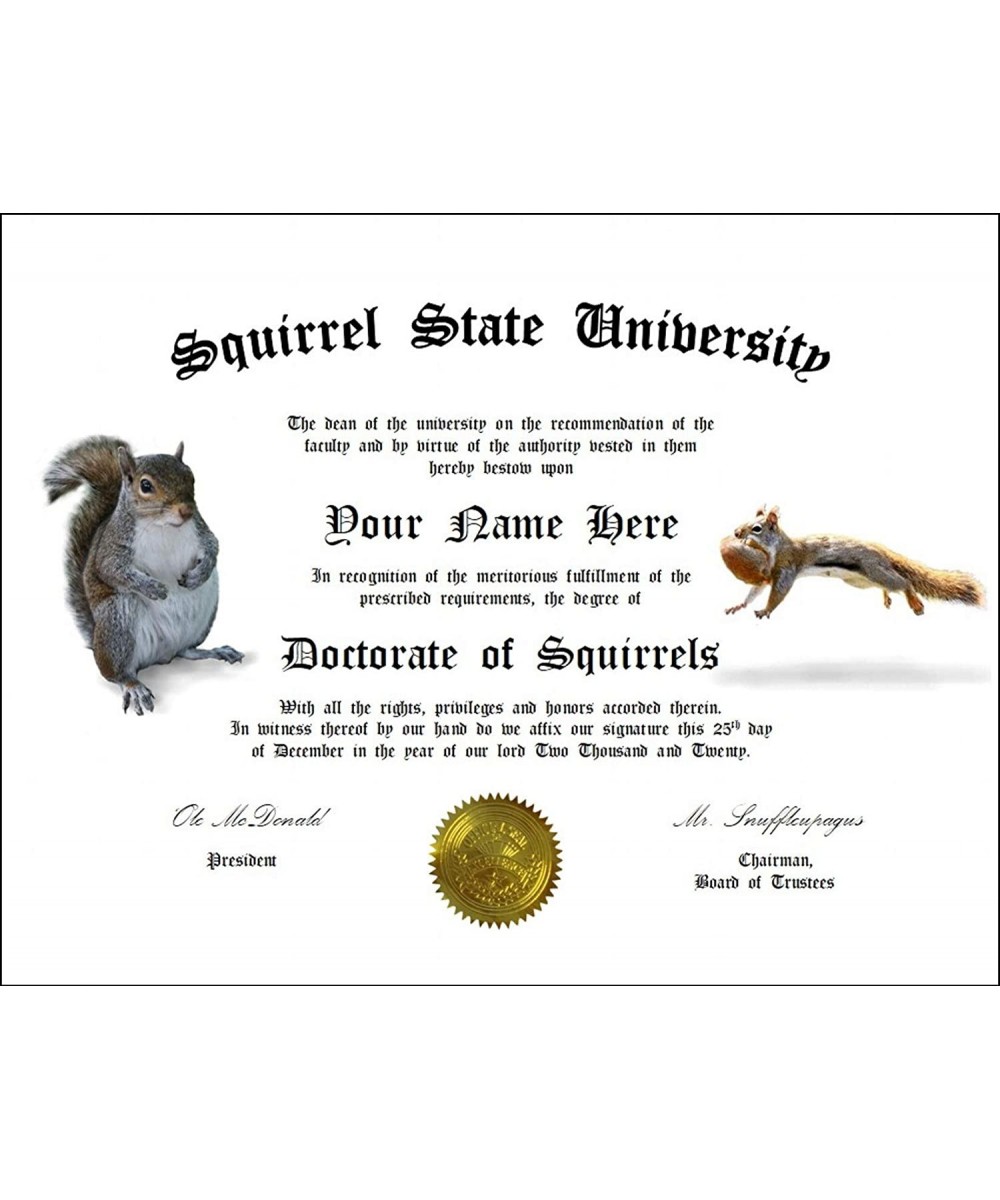 Creative Displays Personalized Squirrel Degree: Custom Gag Diploma Doctorate Certificate (Funny Customized Joke Gift - Novelt...