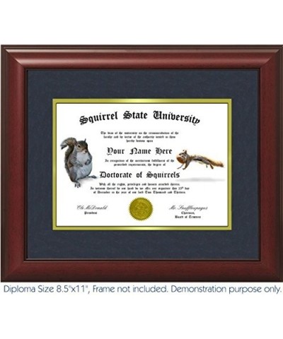 Creative Displays Personalized Squirrel Degree: Custom Gag Diploma Doctorate Certificate (Funny Customized Joke Gift - Novelt...