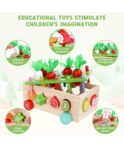 Montessori Wooden Shape Sorter Toys for Baby Boys Girls Age 2 3 4 5 6 Years Old Carrot Harvest Game Preschool Learning Educat...