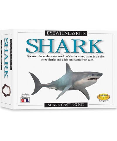 Perfect Cast Sharks Cast Paint Display and Learn Craft Kit $26.84 Educational Science Kits