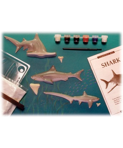 Perfect Cast Sharks Cast Paint Display and Learn Craft Kit $26.84 Educational Science Kits